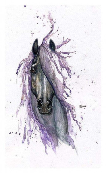 Photo de profil de lovehorse1