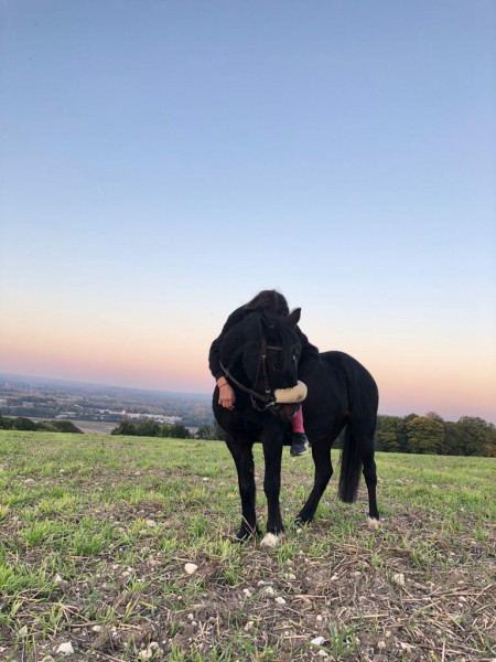 Photo de profil de liyana14