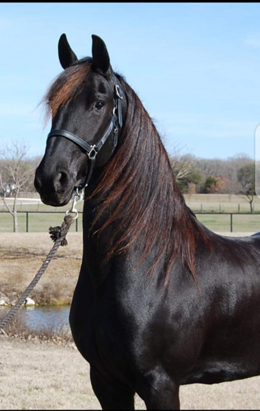 Photo de profil de 32676chelsea