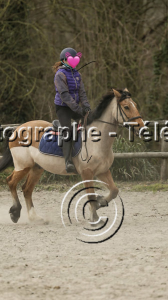 Photo de profil de jxstmaelen