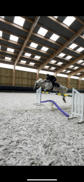 Photo de profil de abies024