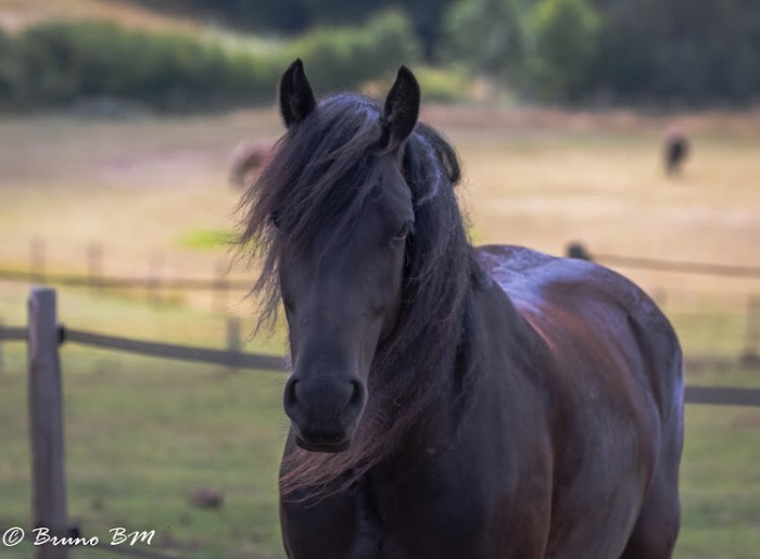 Photo de profil de feuster