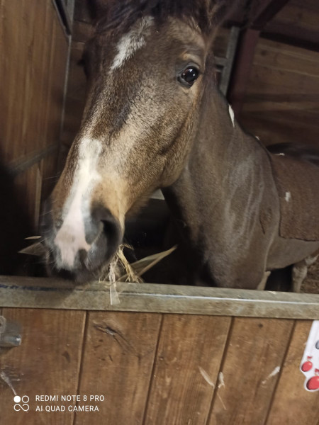 Photo de profil de kenz