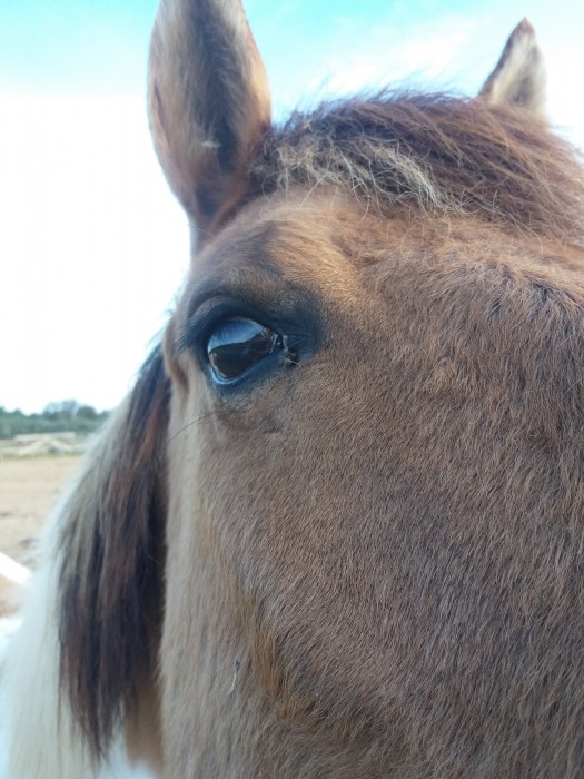 Photo de profil de lucile_aramis