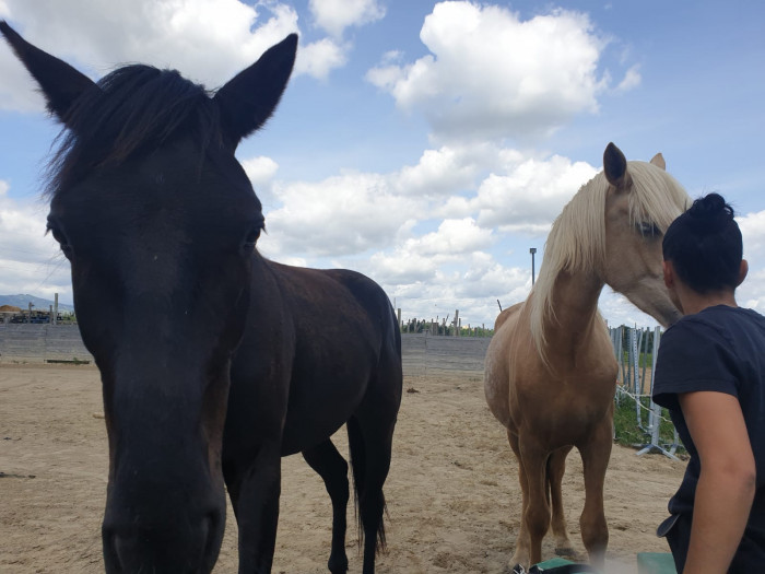 Photo de profil de dahlia666