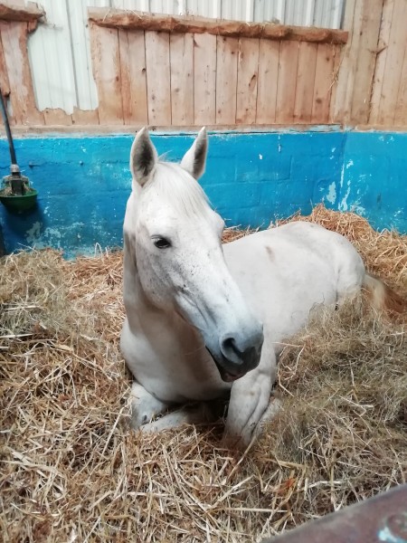 Photo de profil de carlarld