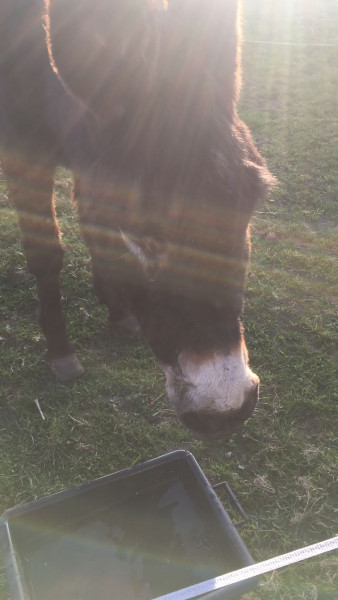 Photo de profil de belledu22