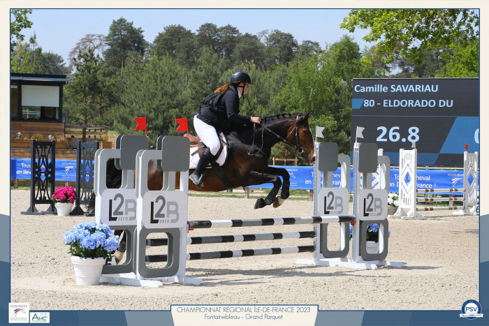 Photo de profil de ccamss