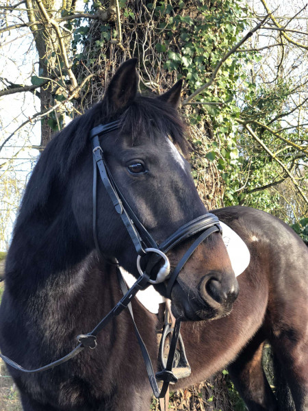 Photo de profil de ludmilaml