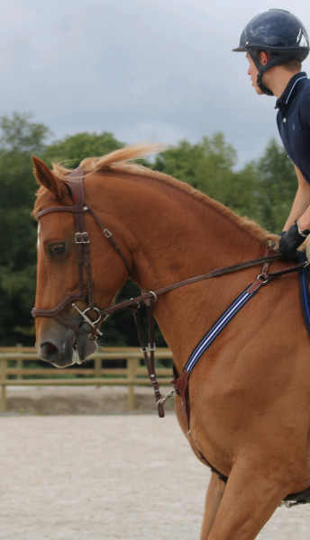 Photo de profil de zep76