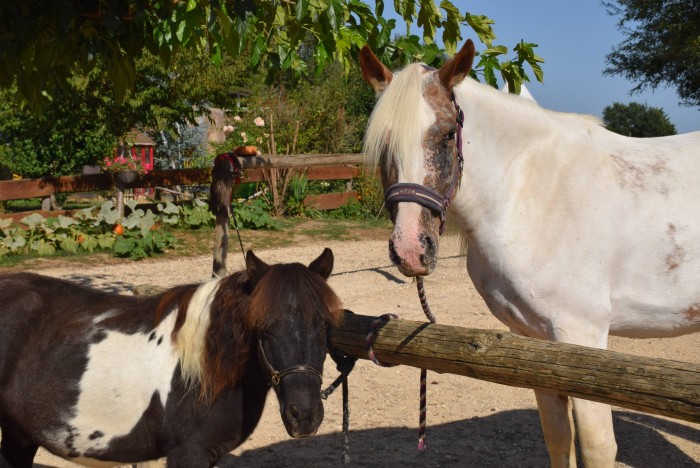 Photo de profil de romeodonoma