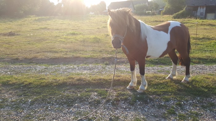 Photo de profil de titi27290