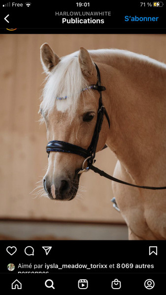 Photo de profil de leponeydelilou