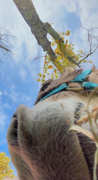 Photo de profil de axelle3011