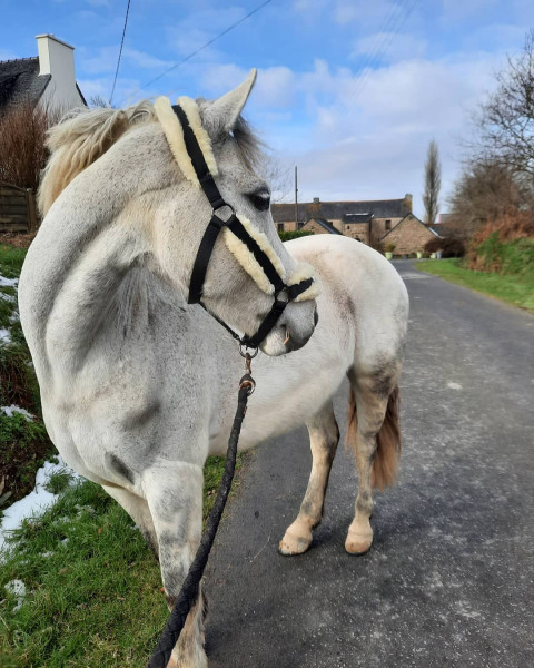 Photo de profil de sln.ines