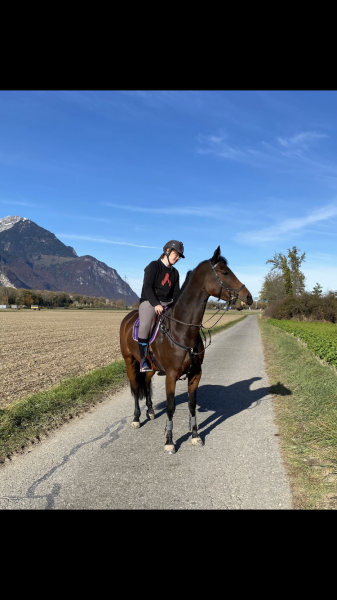 Photo de profil de wanheda