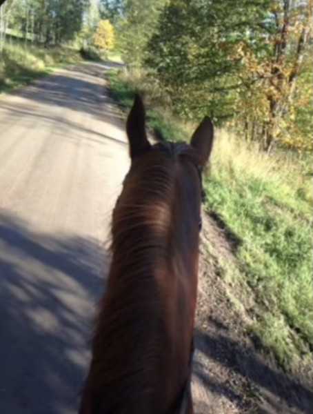 Photo de profil de claralays08