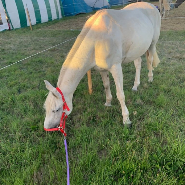 Photo de profil de mathyas