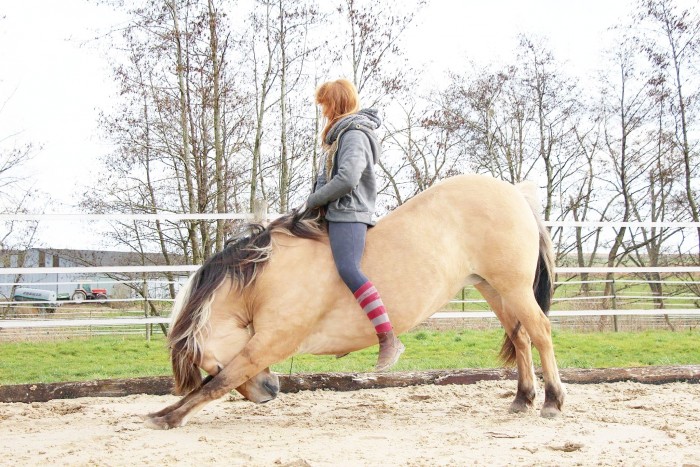 Photo de profil de orpheenomene