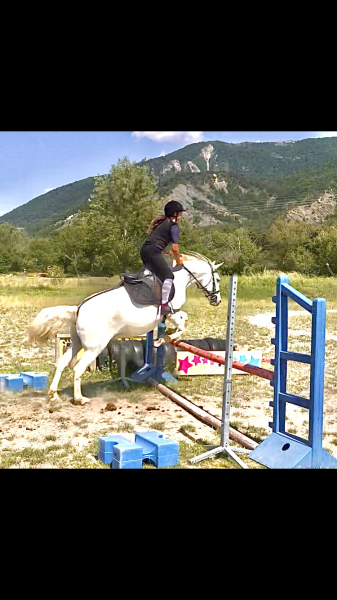 Photo de profil de cheval.poney.h