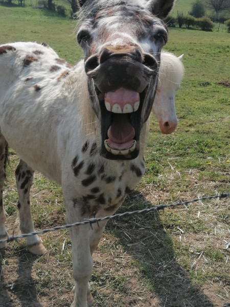 Photo de profil de sashaquenelle81