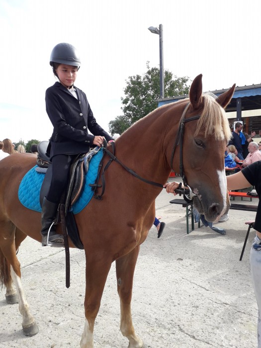 Photo de profil de cavaliere4