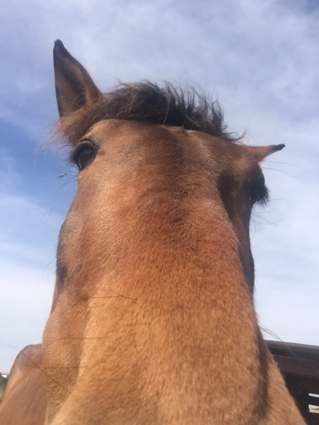 Photo de profil de letizianighty