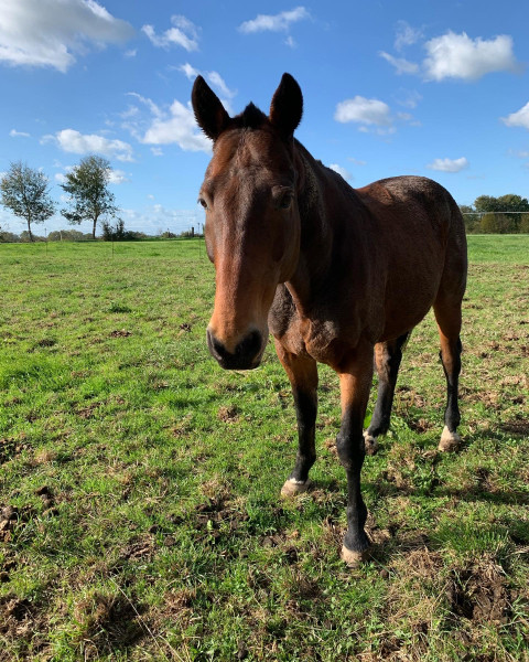 Photo de profil de louisebourget