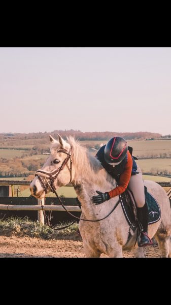 Photo de profil de tessa_qrl