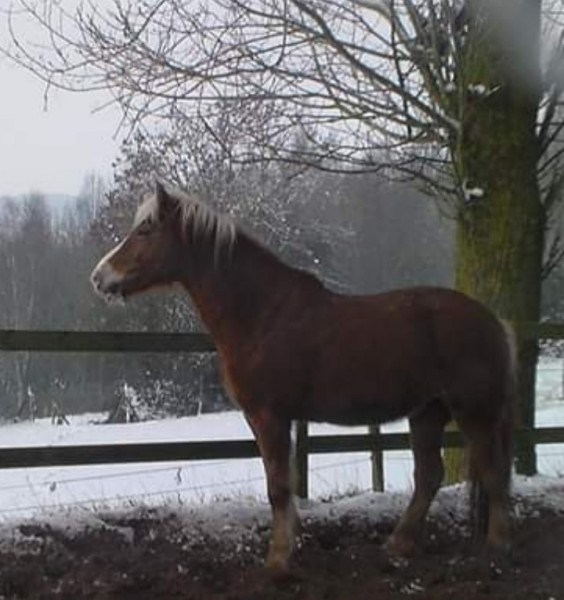 Photo de profil de colleendezitter