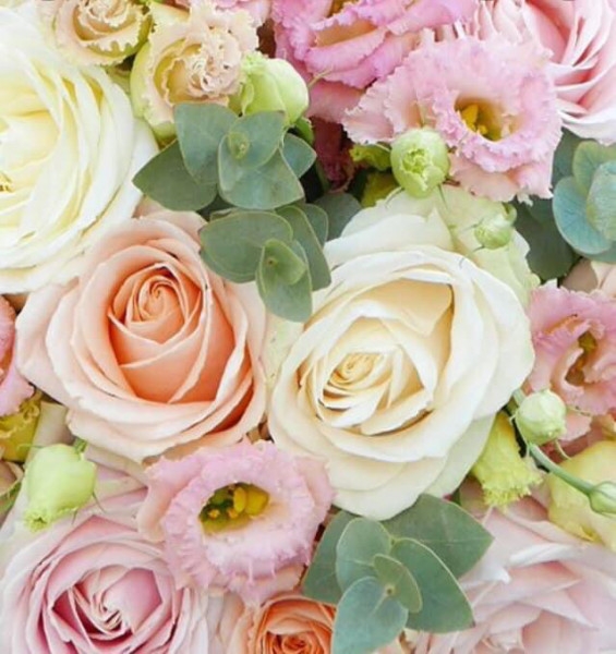 Photo de profil de bibina01