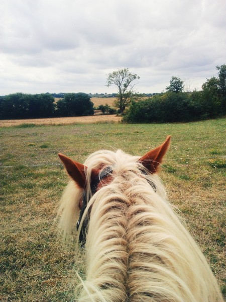 Photo de profil de fandoptimus