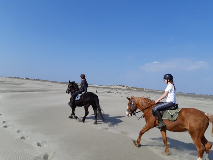 Photo de profil de juliara