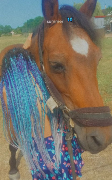 Photo de profil de lolohera