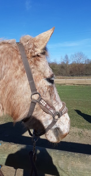 Photo de profil de anr63