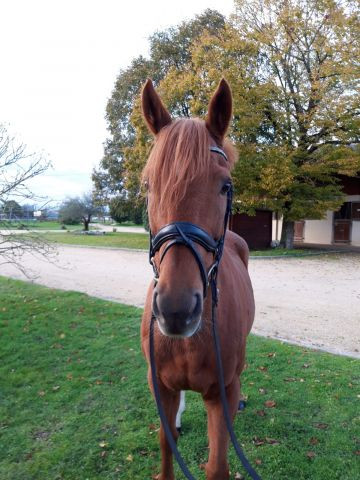 Photo de profil de justine.isc