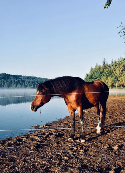 Photo de profil de luiza1