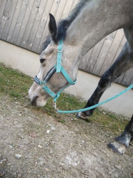 Photo de profil de unponeydu91