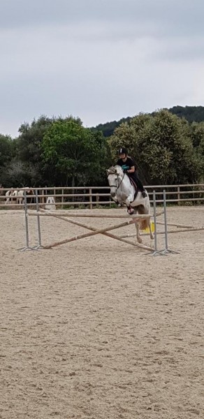 Photo de profil de cha1383