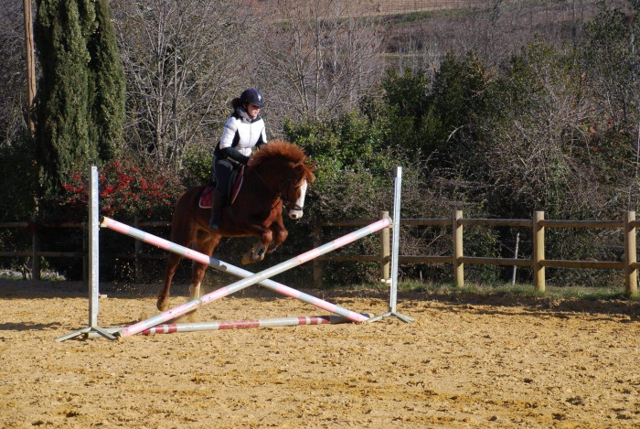 Photo de profil de coline2612
