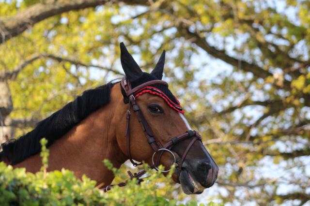 Photo de profil de emmarf