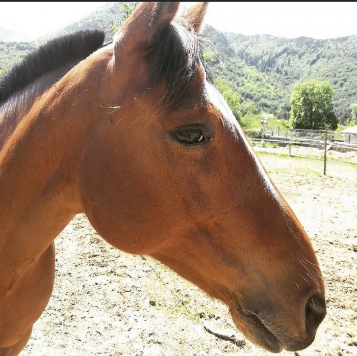 Photo de profil de alais_bretillet