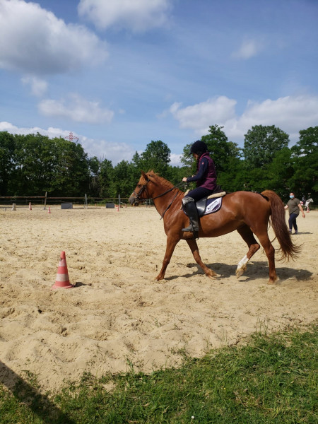 Photo de profil de equi.21