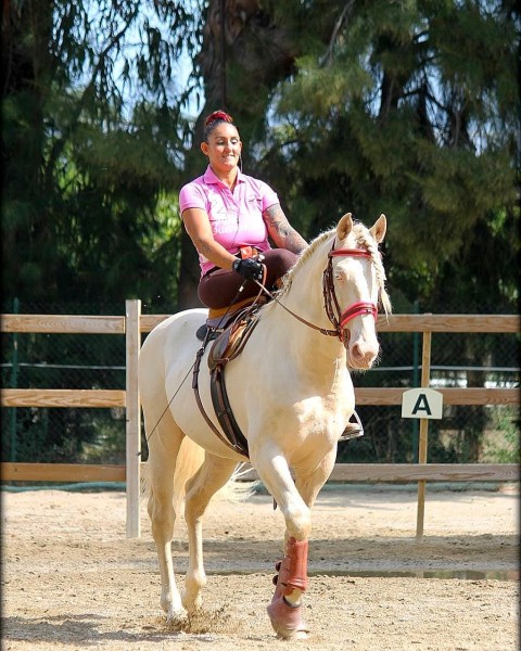 Photo de profil de perdido9786