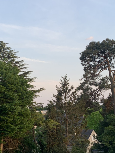 Photo de profil de romane_brgx