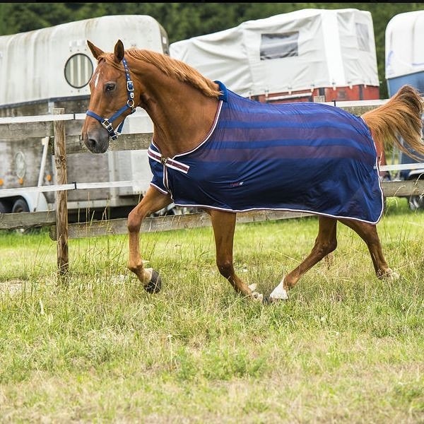 Photo de profil de nouvellechance