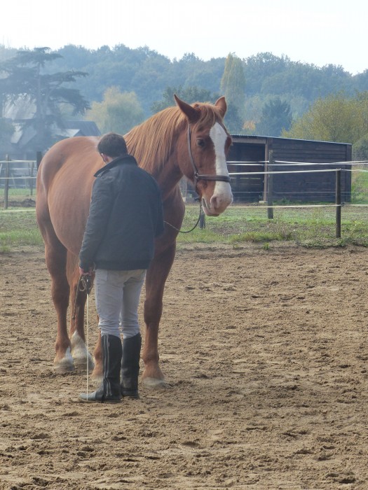 Photo de profil de mgrillet