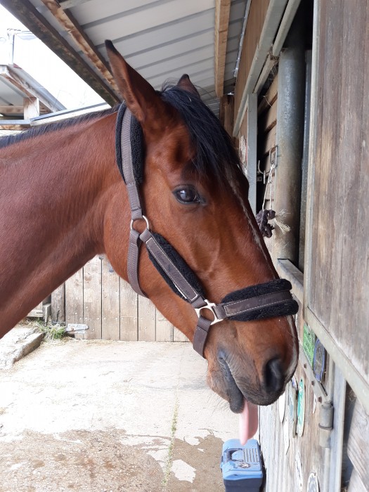 Photo de profil de rinjani.jolie