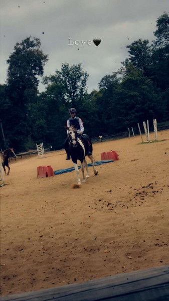 Photo de profil de cavalier602