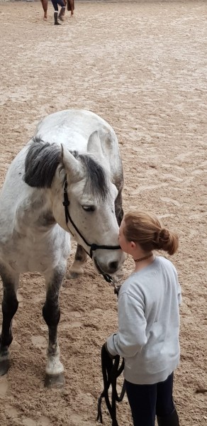 Photo de profil de mchevaux